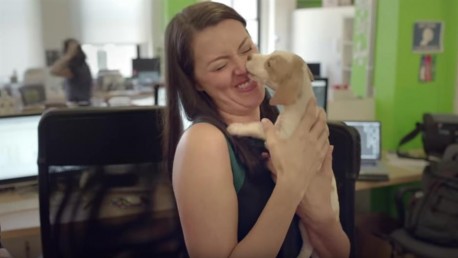 Nema do čupavih terapeuta